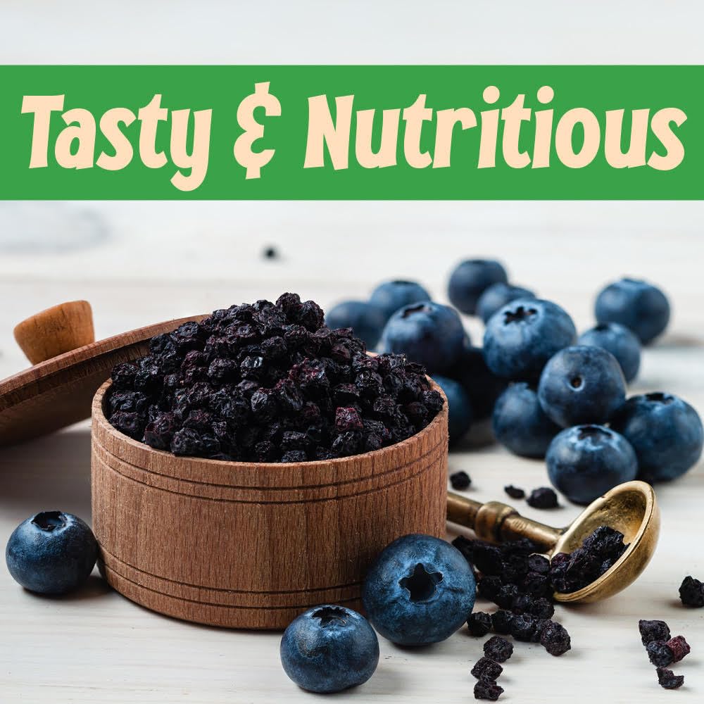 Sincerely Nuts Dried Blueberries Snack - Gluten-Free, Vegan - 1 LB Bulk Fruit for Smoothies, Baking, Pancakes, Salads