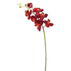 Vickerman Fa172202 Everyday Orchid Stem