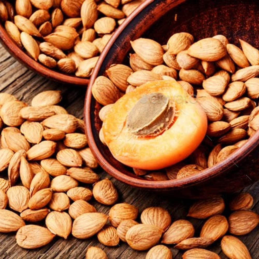 aimnaturals Organic Raw Bitter Apricot Kernels - USDA Certified, 1LB, Product of Turkey