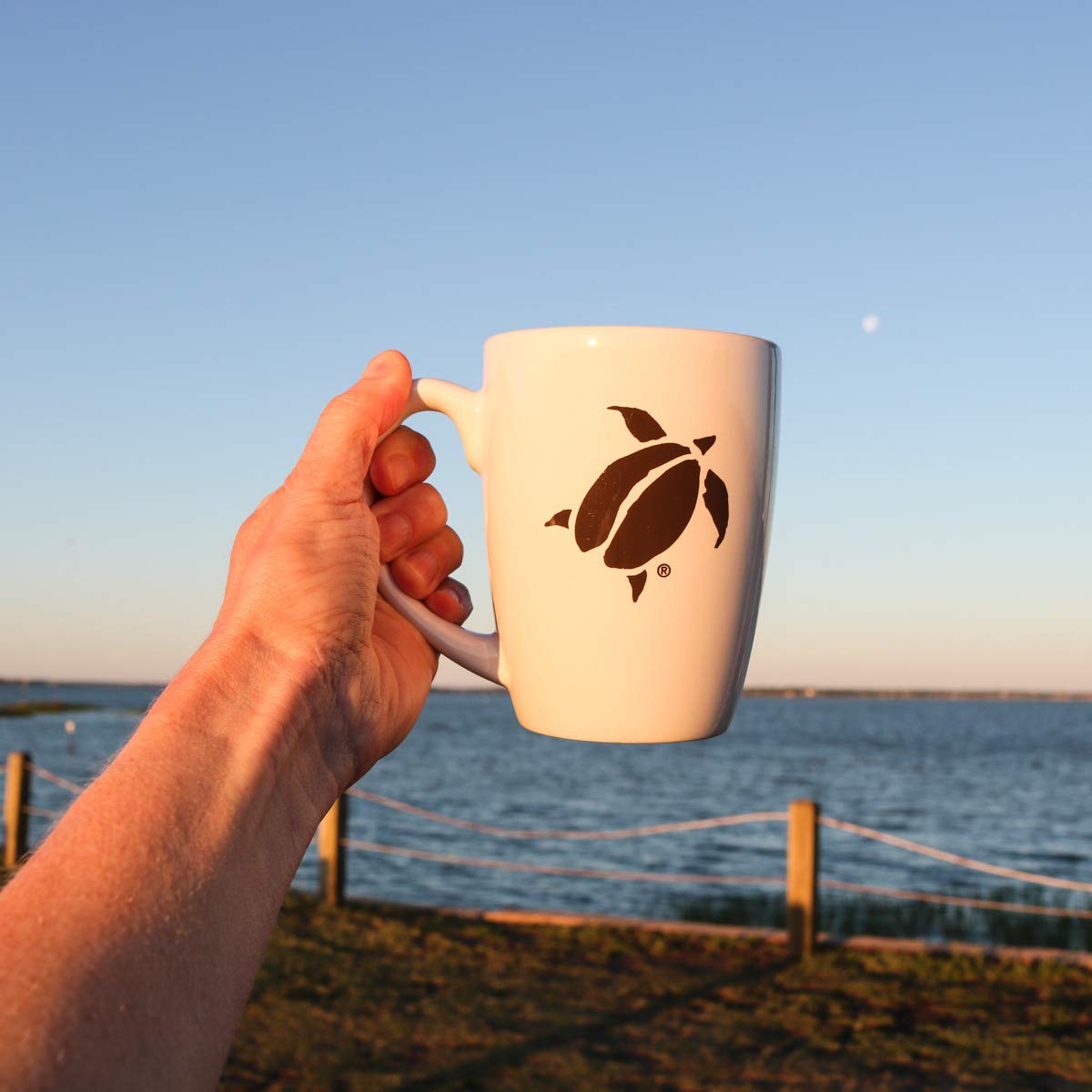 Charleston Coffee Roasters | Specialty Organic Ground Coffee | Hand Picked, Premium Slow Roast (Charleston Organic, Medium Roast) 12Oz, 6 Pack