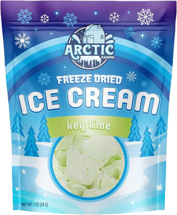 Arctic Farms Freeze Dried Ice Cream - Key Lime Flavor - 1 Ounce