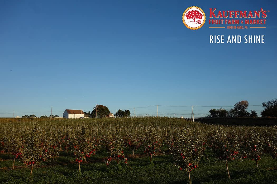 Kauffmans Fresh McIntosh Apples, Hand-Picked Heirloom, 16 Count, Wax-Free