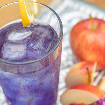 Harney Fresh Brew Iced Tea Indigo Punch, Butterfly Pea Flower, Three 2-Quart Bags