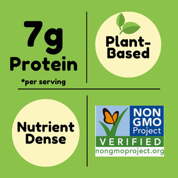 Good Sense Good Sense Shelled Pumpkin Seeds (Pepitas), Honey Roasted - 6 Ounce Bags (Pack Of 12)