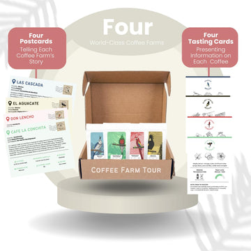 Canopy Point Coffee | Ground Coffee Sample Pack | Gourmet Coffee Sampler | Single Origin Coffee Gift Set | Sampler Gift Box Set