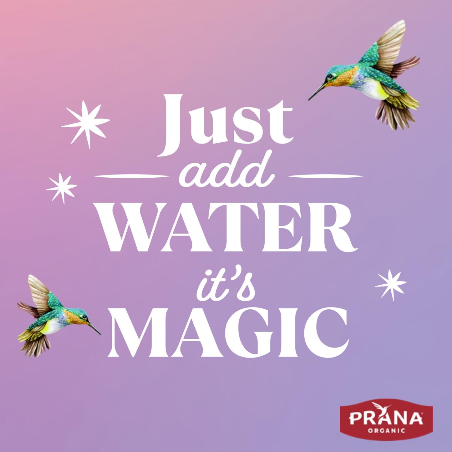 Prana Organic Overnight Chia with Oats Chocolatey Dream | Rich in Fiber & Protein, Vegan, Non-GMO | Fairtrade Chia Pudding - 10.