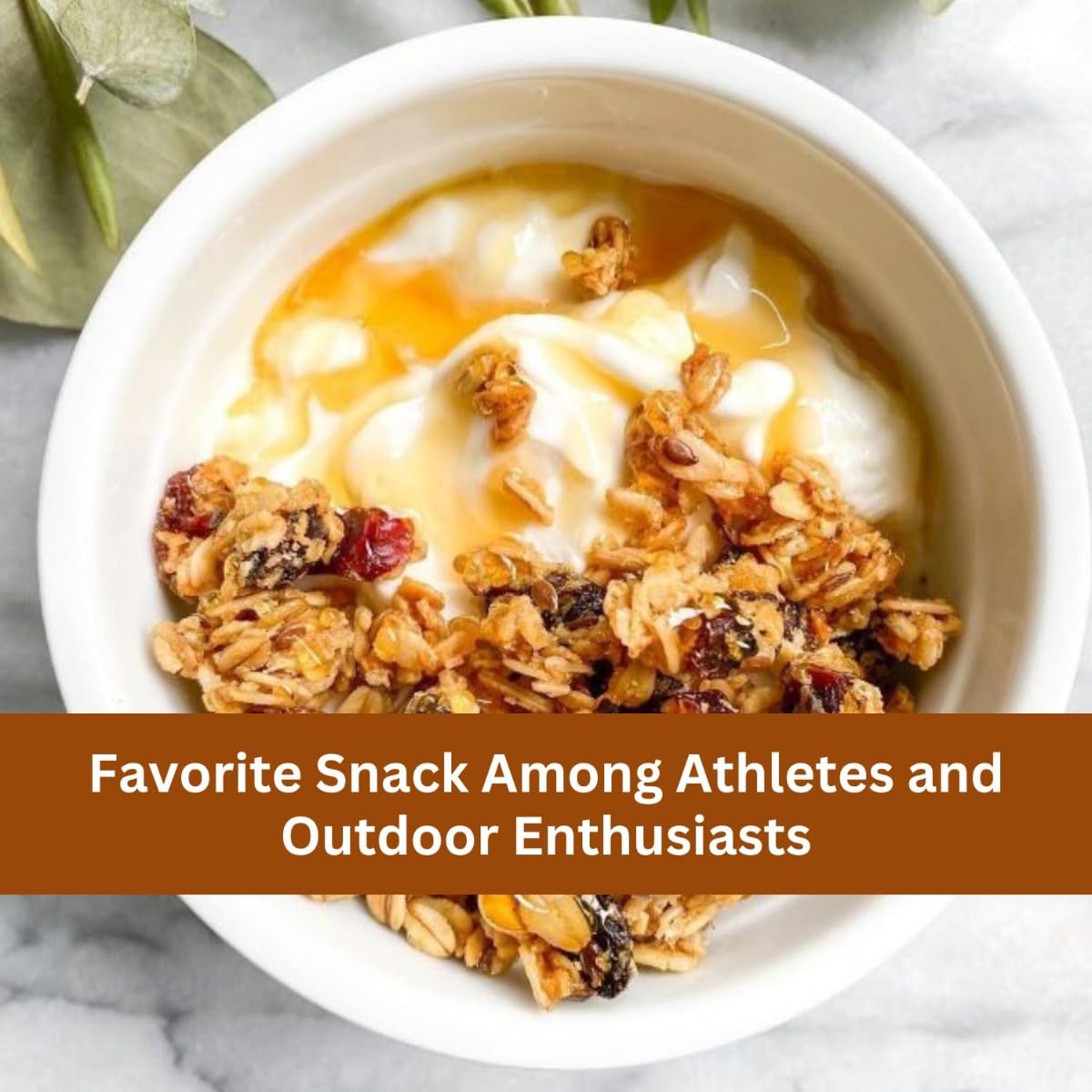 Erin Bakers Homestyle Granola, Peanut Butter, 12 Oz