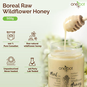 Oneroot 100% Canadian Flower Honey - 17.6 Oz/1.1 Lbs, Honey Wildflower Unfiltered, Unheated & Creamed, Nutrient Rich Raw Wildflo