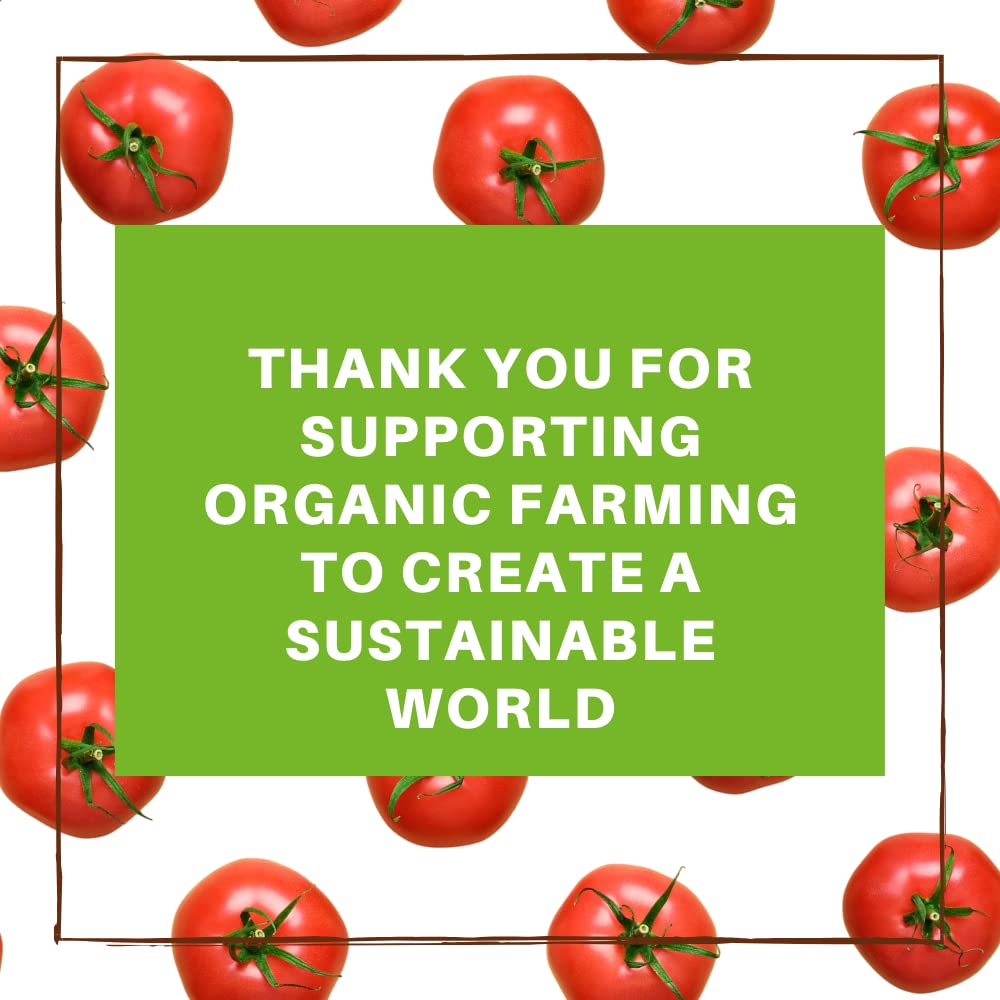 Berrilys Organic Sun-Dried Tomatoes, Salted, No Sulfur, No Preservatives, Kosher, Raw, Non-GMO, Great Ingredient for Baking and