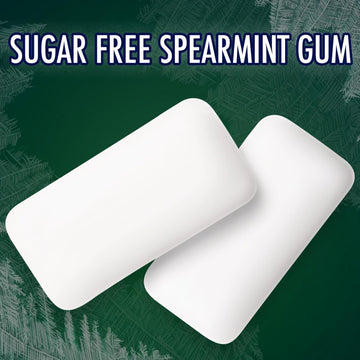 ECLIPSE Spearmint Back to School Sugar Free Chewing Gum, 180 Ct