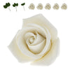 Global Sugar Art Peace Rose White Sugar Cake Flowers 5 Count With Leaves By Chef Alan Tetreault