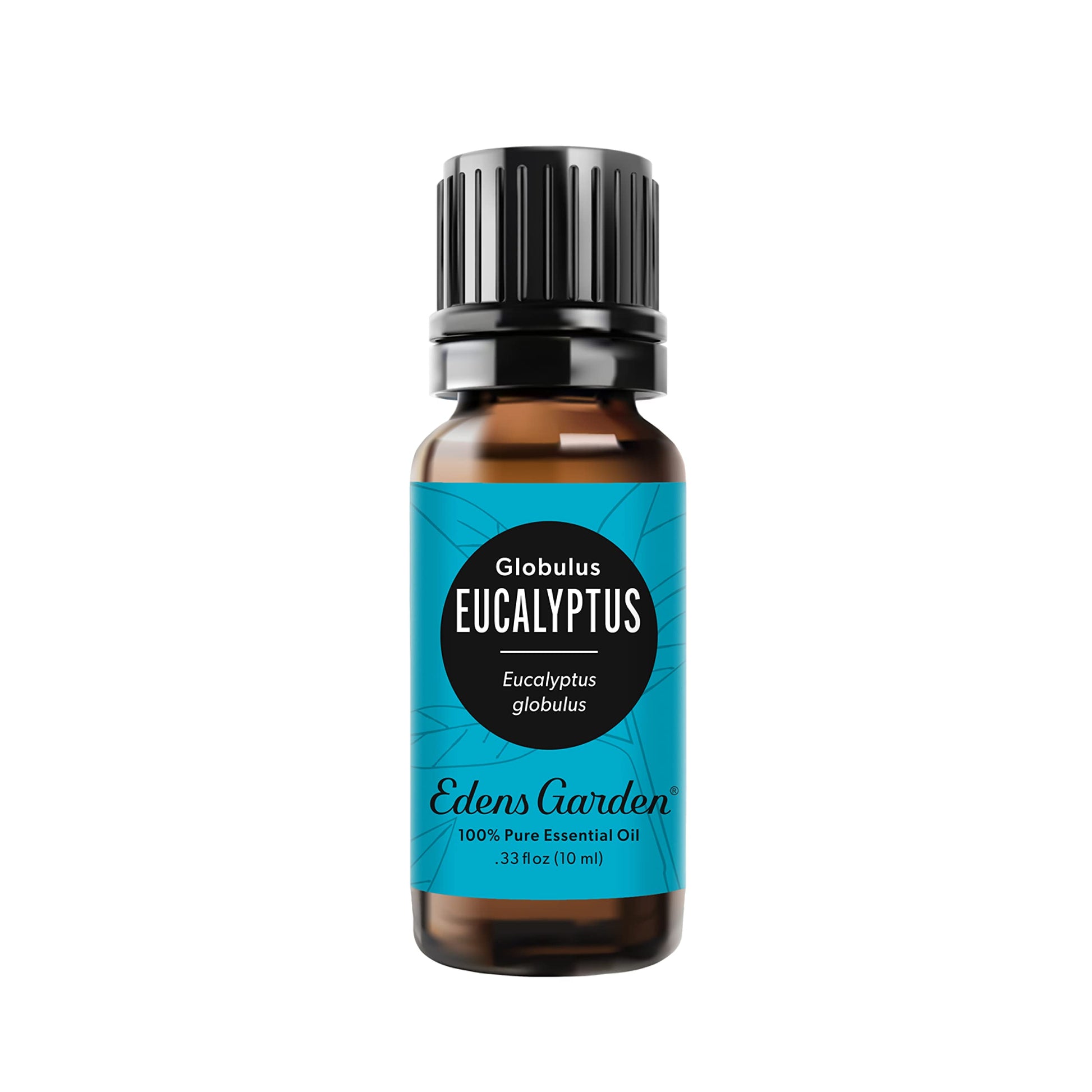 Eucalyptus 100% Pure Therapeutic Grade Essential Oil- 10 Ml