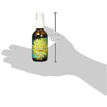 Flower Essence Services Dandelion Dynamo Oil, 2 Ounce