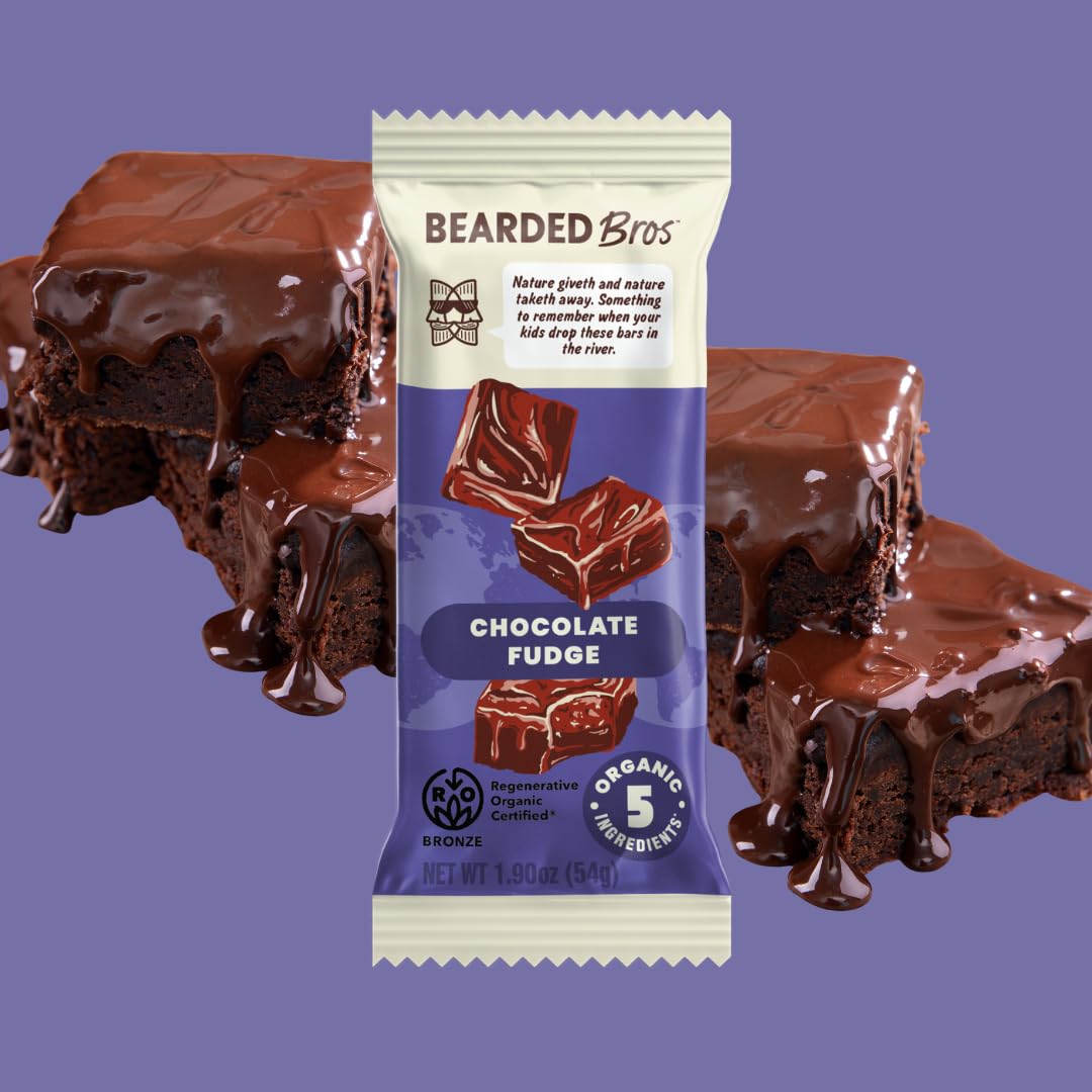 Bearded Brothers Organic Vegan Protein Energy Bars, Chocolate Fudge, Gluten Free, Paleo, 10 Pack