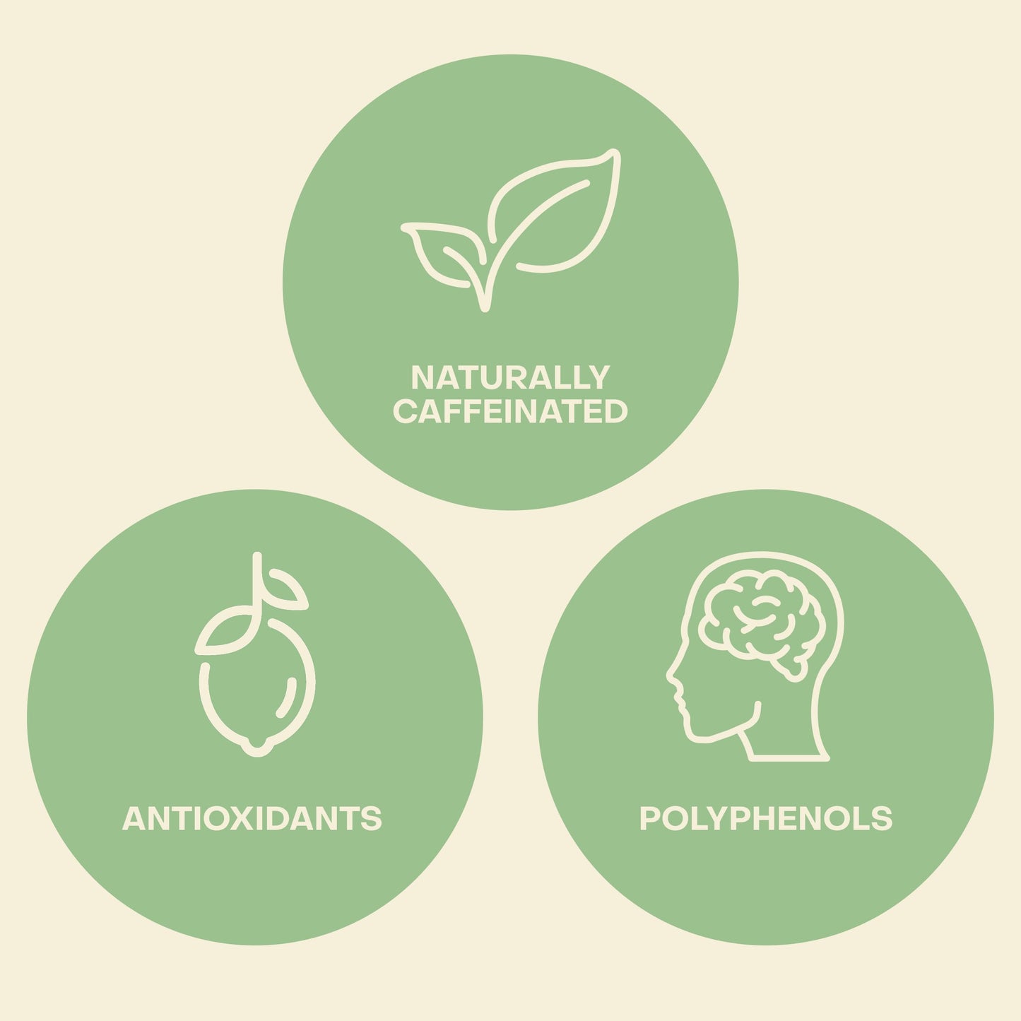 Saint James Iced Tea X The White Lotus Limited Edition - Organic Black Tea - Non-Gmo, Gluten Free, Zero Calorie, Zero Sugar - Ma