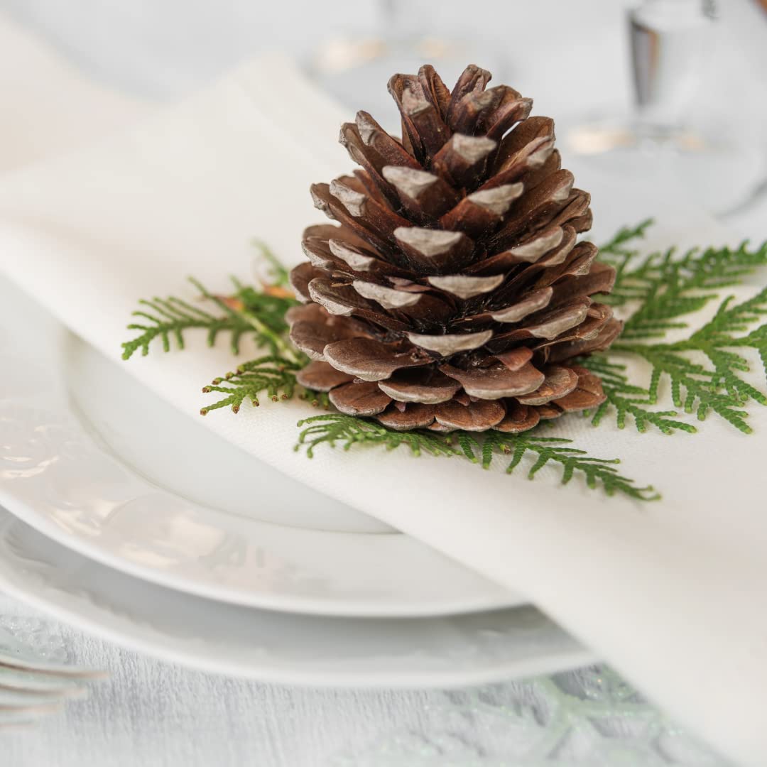 Golden Star Organic Brown Jasmine Rice Pouch, 8.5 Oz (8 Pack)