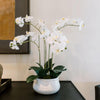 CG Hunter Faux White Orchid Plant, Premium Artificial Indoor Flower Display Stands 23   , Beautiful Sculptural Blooms That Lasts