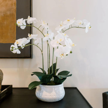 CG Hunter Faux White Orchid Plant, Premium Artificial Indoor Flower Display Stands 23   , Beautiful Sculptural Blooms That Lasts