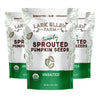 Lark Ellen Farm Sprouted Organic Pumpkin Seeds, Unsalted Raw Pumpkin Seeds Organic, Pepitas, Vegan, Non GMO, Gluten Free, Paleo,