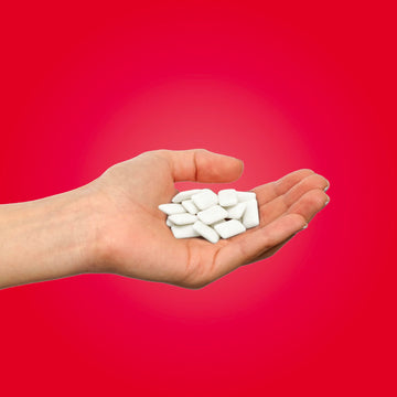 Pur Gum | Aspartame Free Chewing Gum | 100% Xylitol | Natural Cinnamon Flavored Gum, 55 Pieces (Pack Of 12)