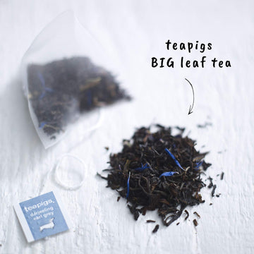 Teapigs Darjeeling Earl Grey Tea Bags Made With Whole Leaves (1 Pack Of 15 Tea Bags)