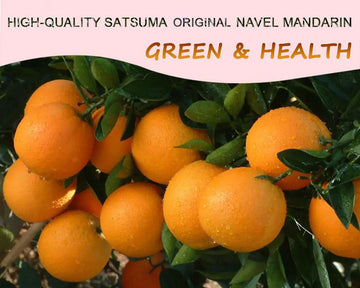 Duwen Dehydrated Orange Slices, Sugar Free, 10.58oz / 300g, Natural Fruit for Cocktails and Crafts