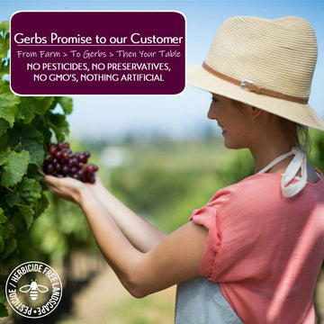 Gerbs Dried Raisins 14 Oz. | Freshly Dehydrated Resealable Bulk Bag | Top Food Allergy Free | Sulfur Dioxide Free | Rich In Calc