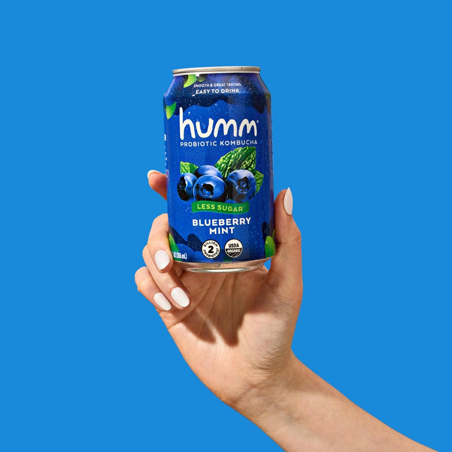 Humm Kombucha Blueberry Mint - Organic, Vegan & Gmo-Free (12 Pack)