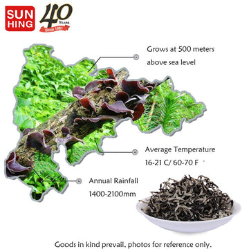 Fortune Dried Woodear Mushroom Shredded 4oz (Pack of 3) - Dried Black Fungus