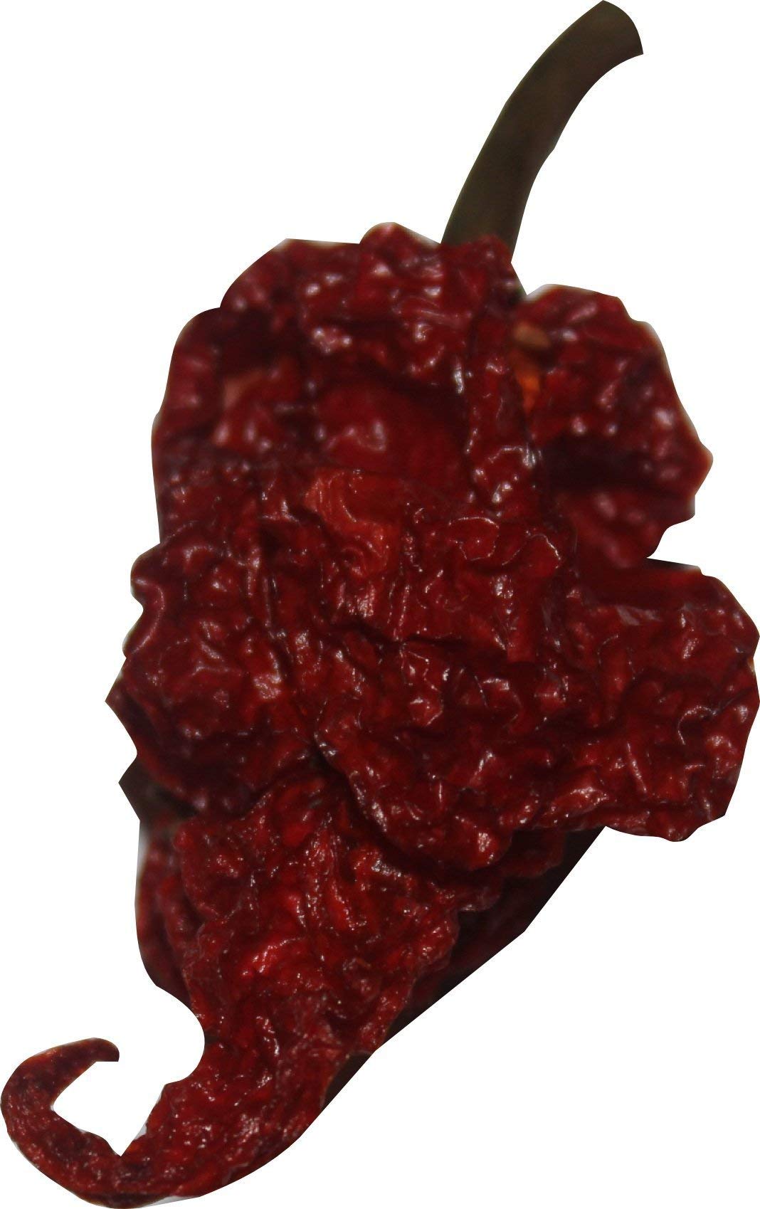 Scorpion Chili Powder Spice Seasoning Trinidad Moruga Red Tail