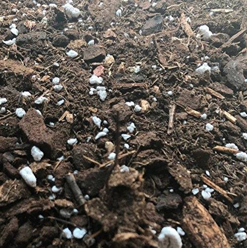 Cymbidium Imperial Orchid Mix - Mini Bag (2 Quarts)