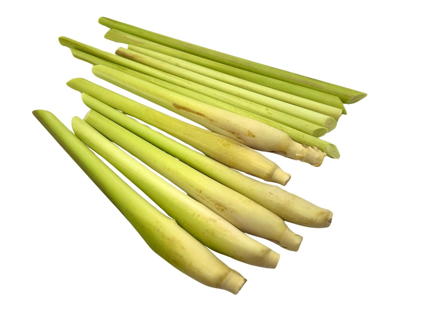 Generic 7 Fresh Lemongrass Stalks By Shiba Garden. Grown Farm Fresh