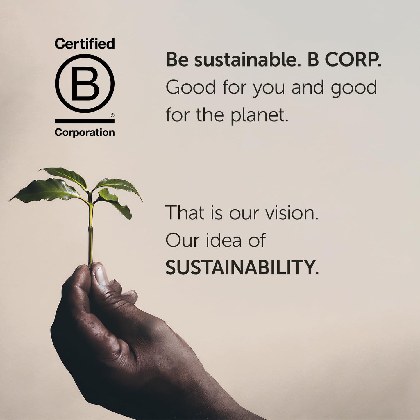 Illy Whole Bean Coffee - Perfectly Roasted Whole Coffee Beans – Colombia Medium Roast – Smooth Taste, Notes Of Fruit – Fruit Notes - 100% Arabica Coffee - No Preservatives – 8.8 Ounce