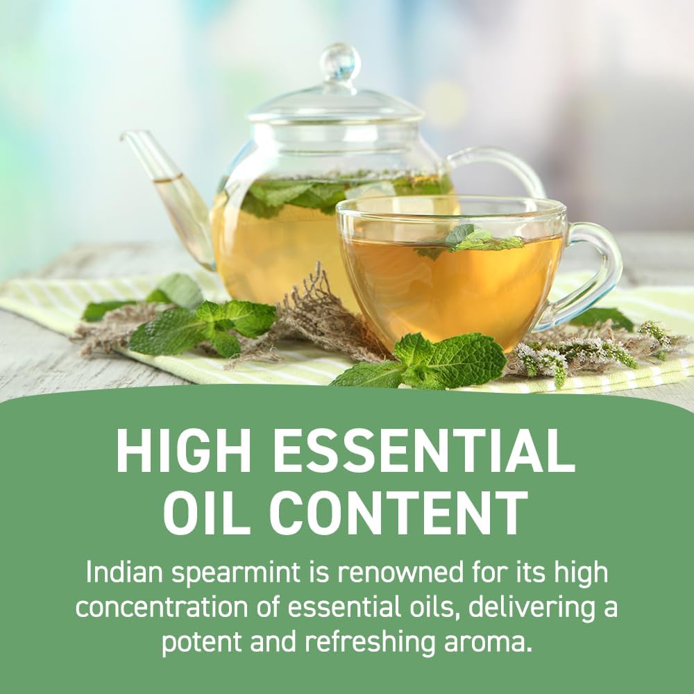 Handpick, Spearmint Tea Bags (100 Herbal Tea Bags) Rich In Essential Oil | Refreshing Mint Tea | Non-Gmo, Gluten Free | Round Ec