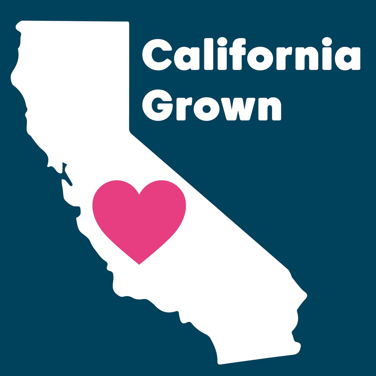 Wilderness Poets, Organic California Pistachios - Roasted With Sea Salt, In Shell