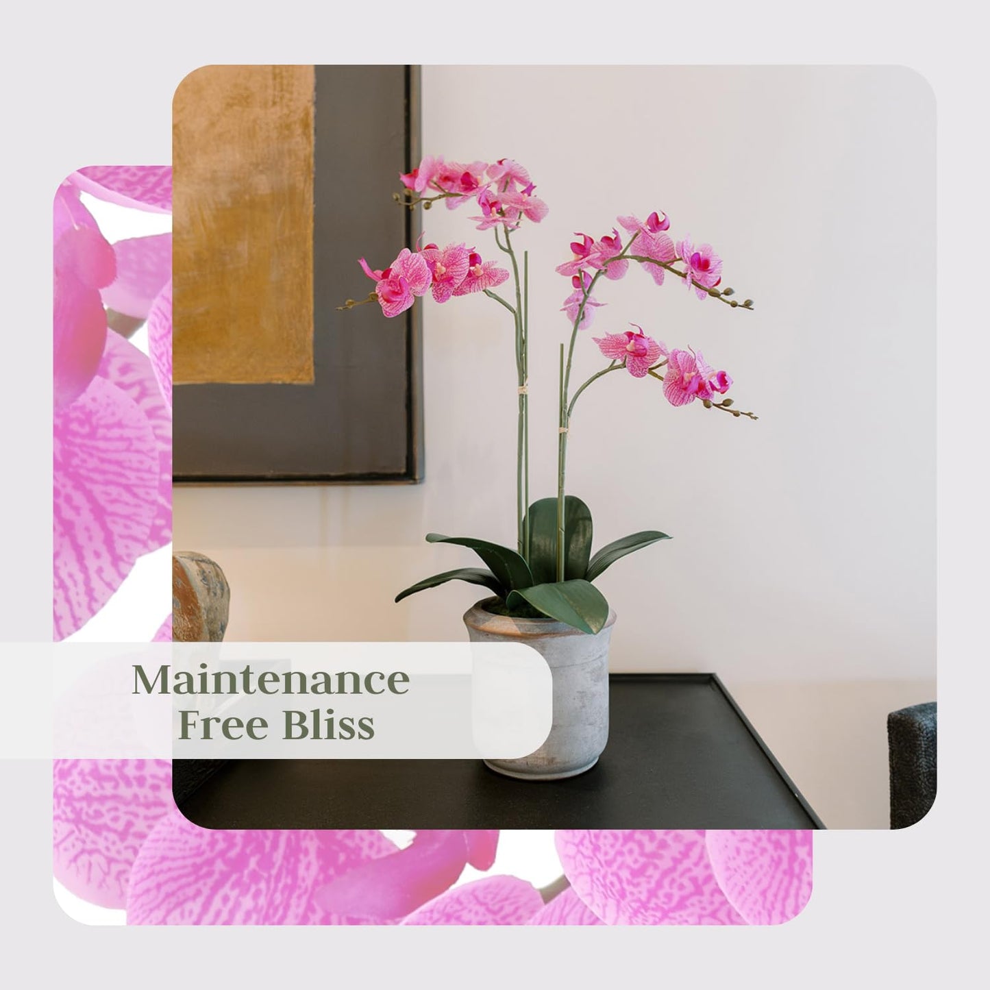 Cg Hunter Faux Pink Orchid Plant, Premium Artificial Indoor Flower Display Stands 24   , Beautiful Sculptural Blooms That Lasts