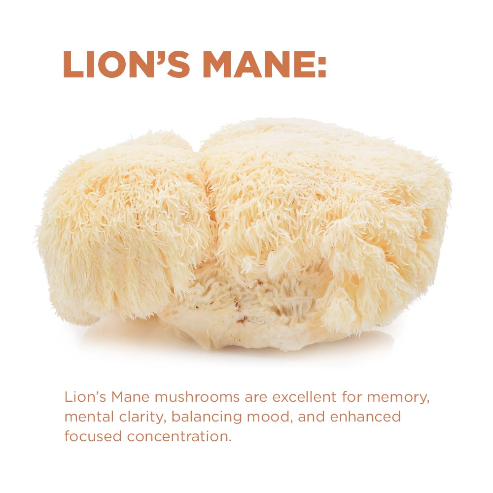 Terrasoul Superfoods Organic Cognitive Mushroom Coffee, 30 Servings, 14.29 Oz, Energize Your Morning And Boost Focus With Powerf