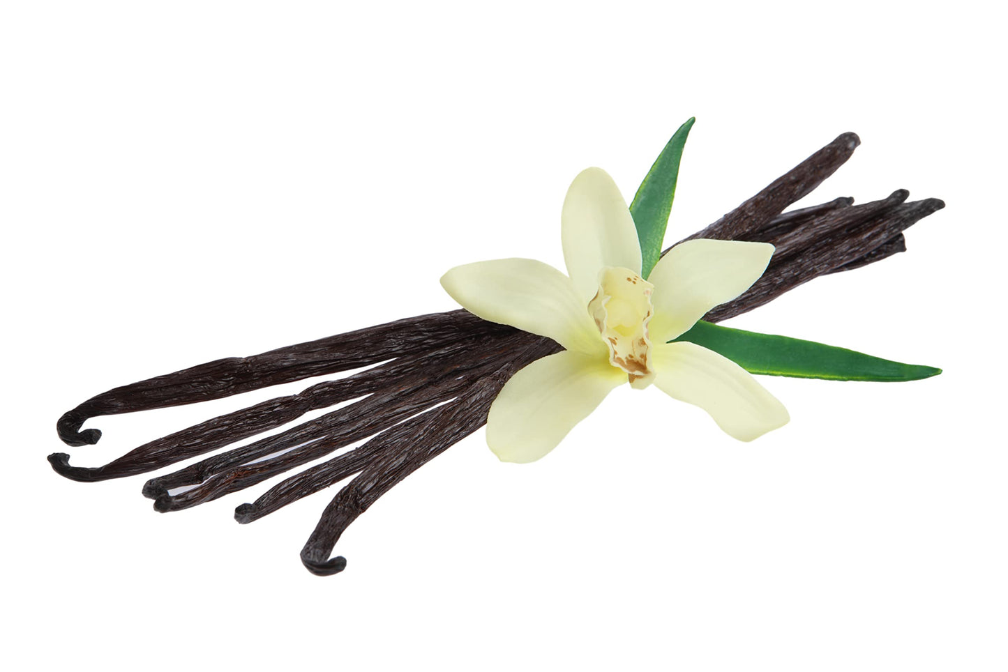LorAnn Organic Madagascar Vanilla Bean Paste, 16 ounces
