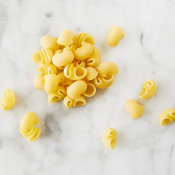 MONTEBELLO Organic Conchiglie Pasta, 1 lb (4-Pack)