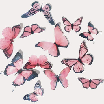 36Pcs Edible Butterfly Cupcake Toppers Birthday Cake Decorations Precut Chockacake Wafer Paper Butterflies