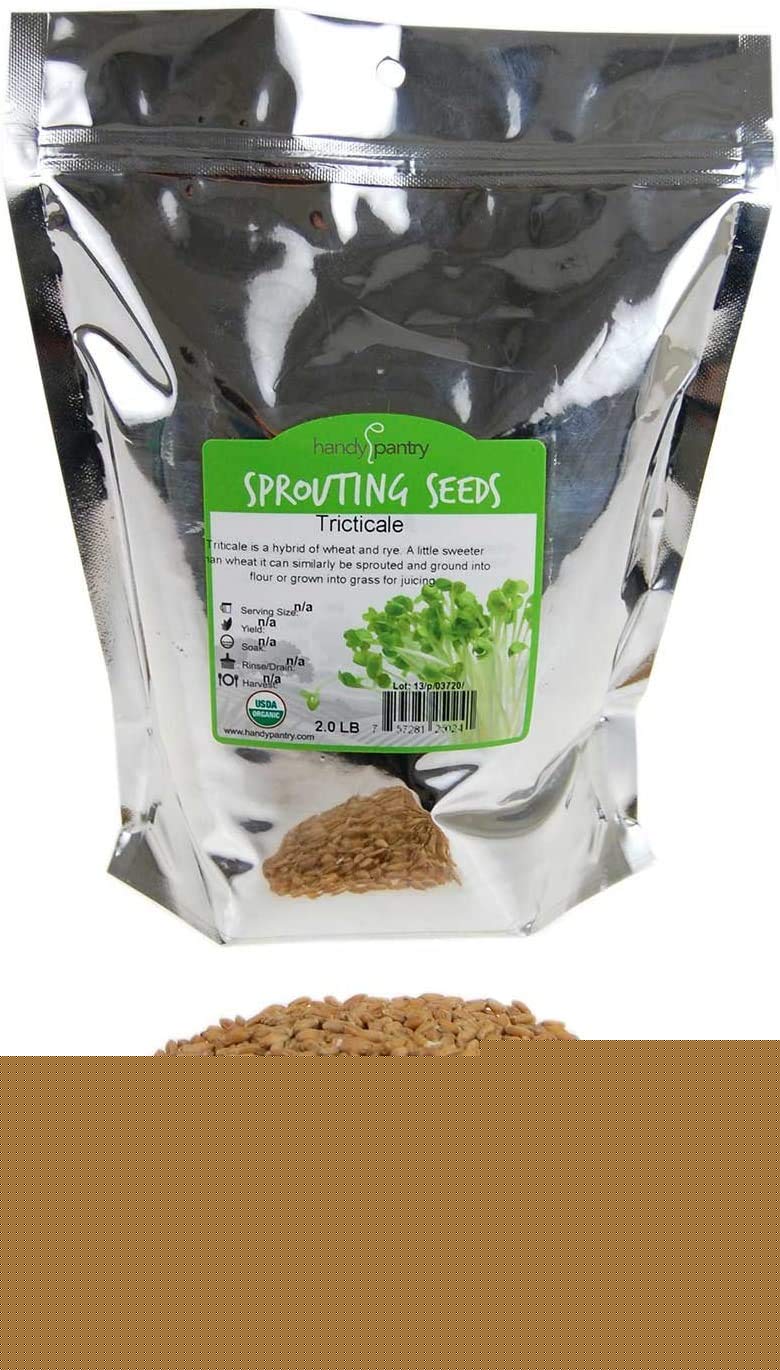Organic Triticale Seeds- 2.5 Lbs- Triticale Grain Seed: Sprouting Sprouts, Cooking, Grind Flour, Food Storage & More