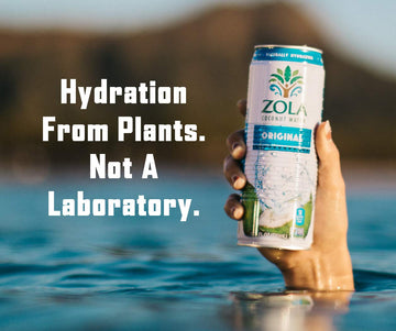 Zola 100% Pure Coconut Water, 17.5 Fl Oz (Pack of 12)