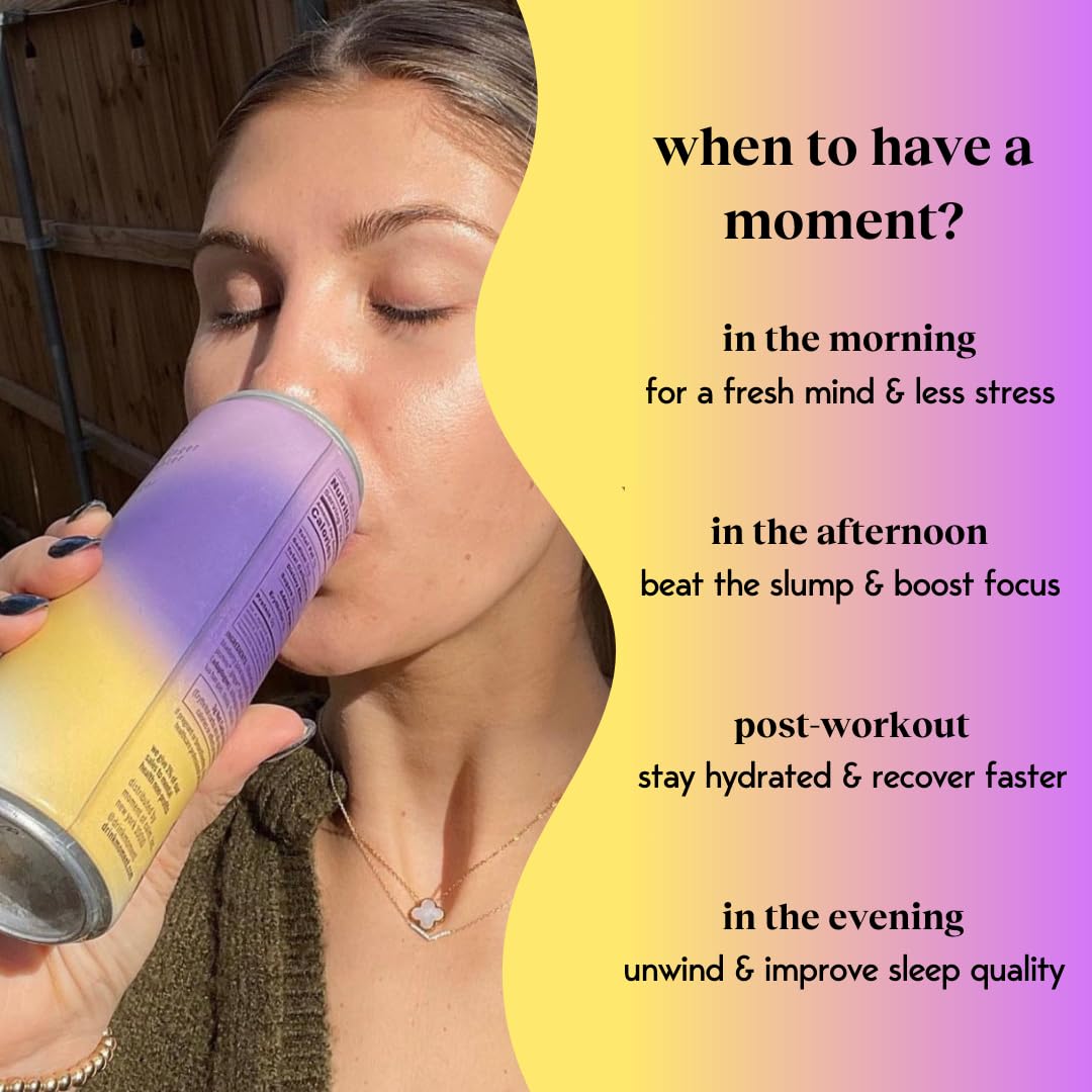 Drink Your Meditation Moment Adaptogen Drink - Blueberry Ginger, Non-Carbonated, 11.5 Fl Oz, 12-Pack, 0 Added Sugar, 0 Caffeine