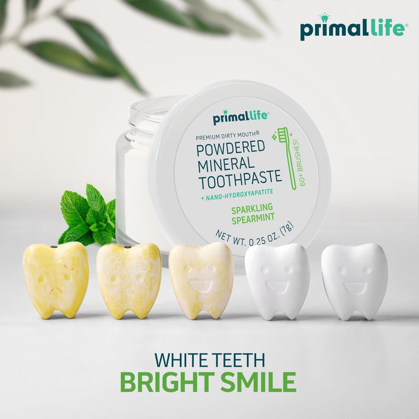 Primal Life Organics Dirty Mouth Toothpowder, 0.25oz, Vegan Spearmint, Natural Ingredients, Paleo Friendly, 60+ Brushings