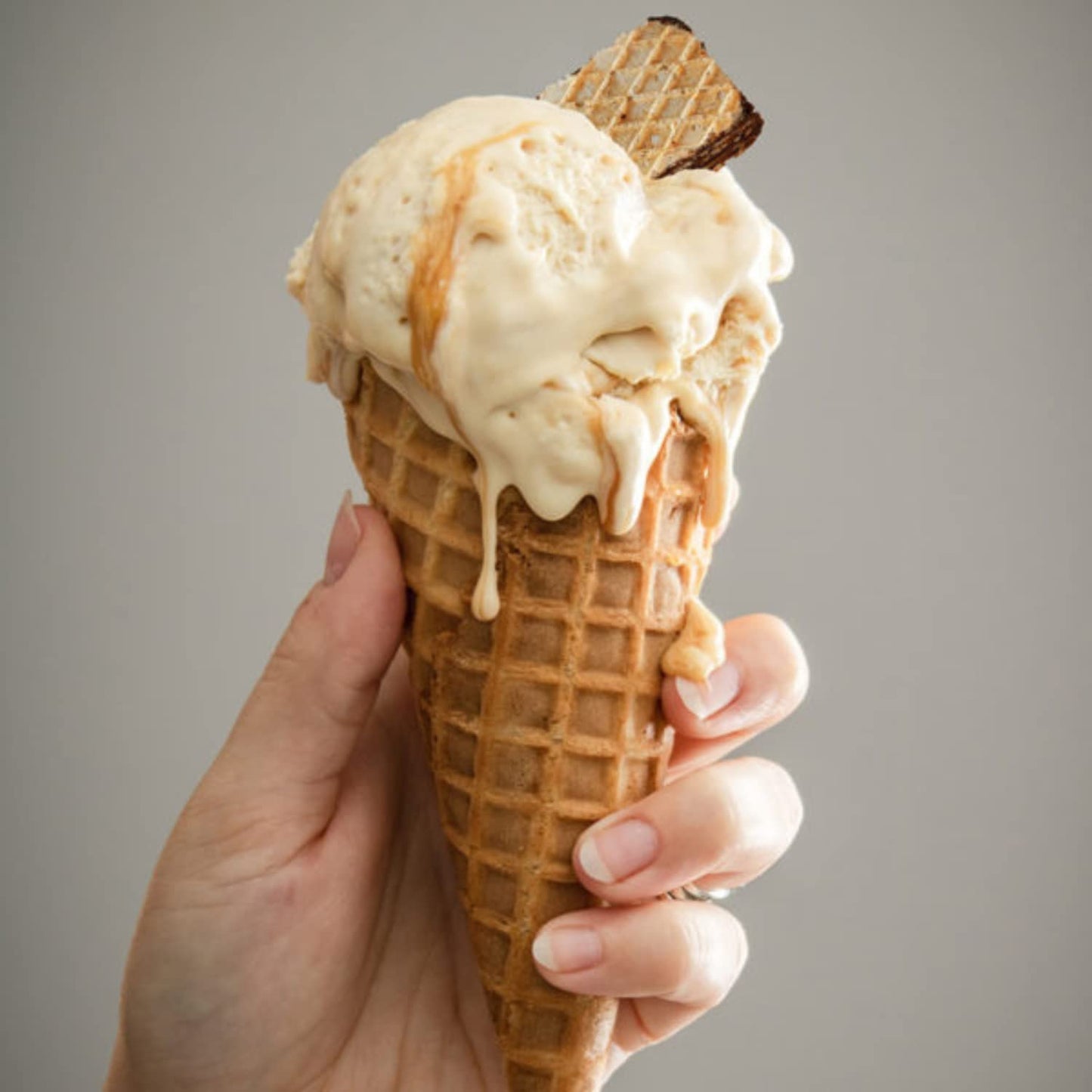 Dolcetto Wafer Cookies, Dark Chocolate, Cream Filled, 8.8 oz (Pack of 3), Halal, Made in Italy, Bite-Sized Crispy Treats