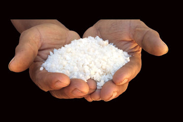 SACRED VALLEY SALT from Maras, Peru - Extra Coarse Grinder Salt - 4 Pound Bulk Bag