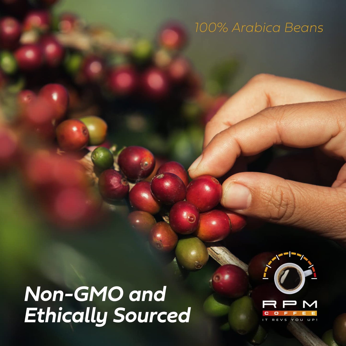 RPM Coffee 2LB Brazil Cerrado Premium Coffee, Medium-Dark Roast, 100% Arabica Beans, Low Acidity, 16 Ounce (Pack of 2)