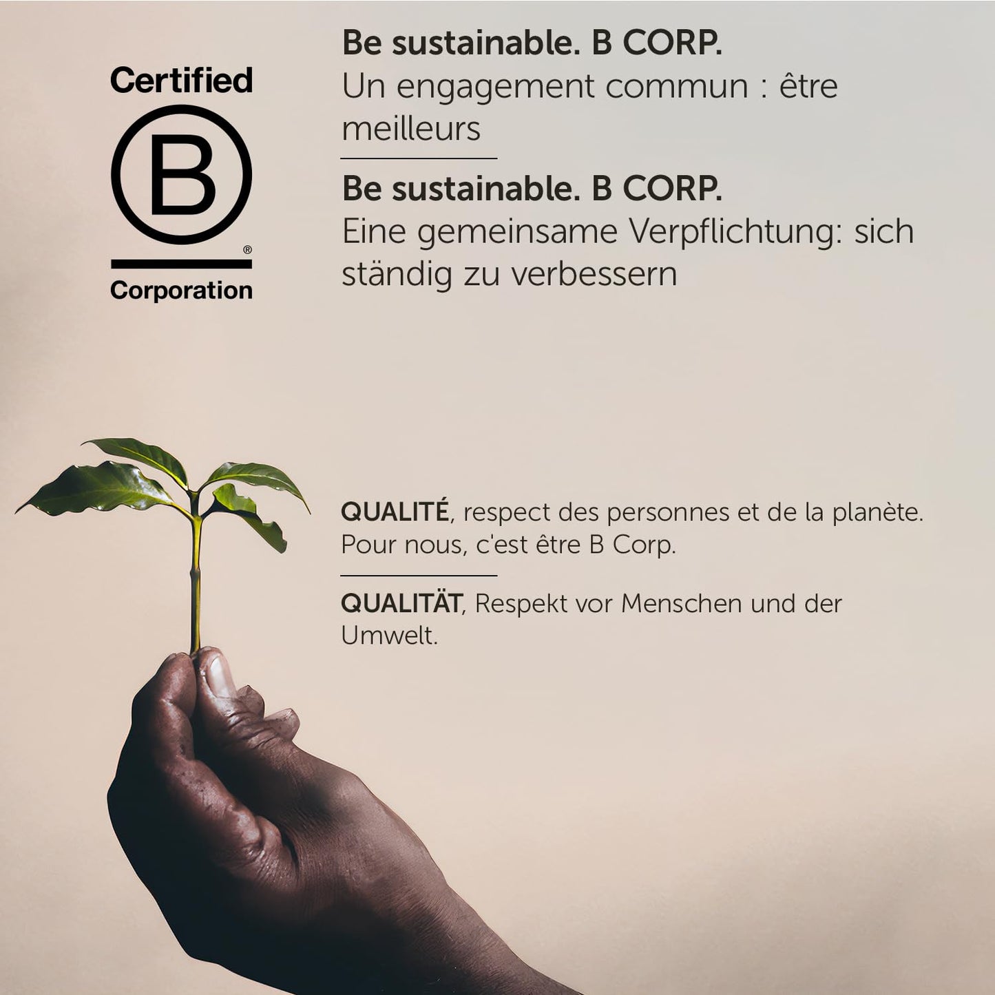 Illy E.S.E. Coffee - Single-Serve Coffee Pods - Classico Medium Roast - Notes Of Chocolate & Caramel - For E.S.E Coffee Machines