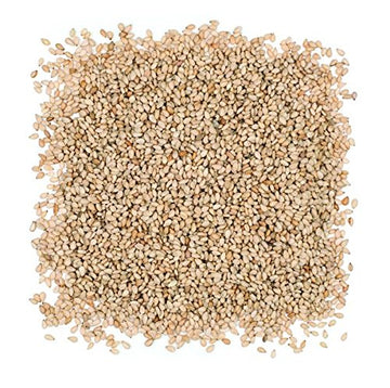 Roland Foods Roasted White Sesame Seeds, Specialty Imported Food, 16 Ounce, Pack Of 1