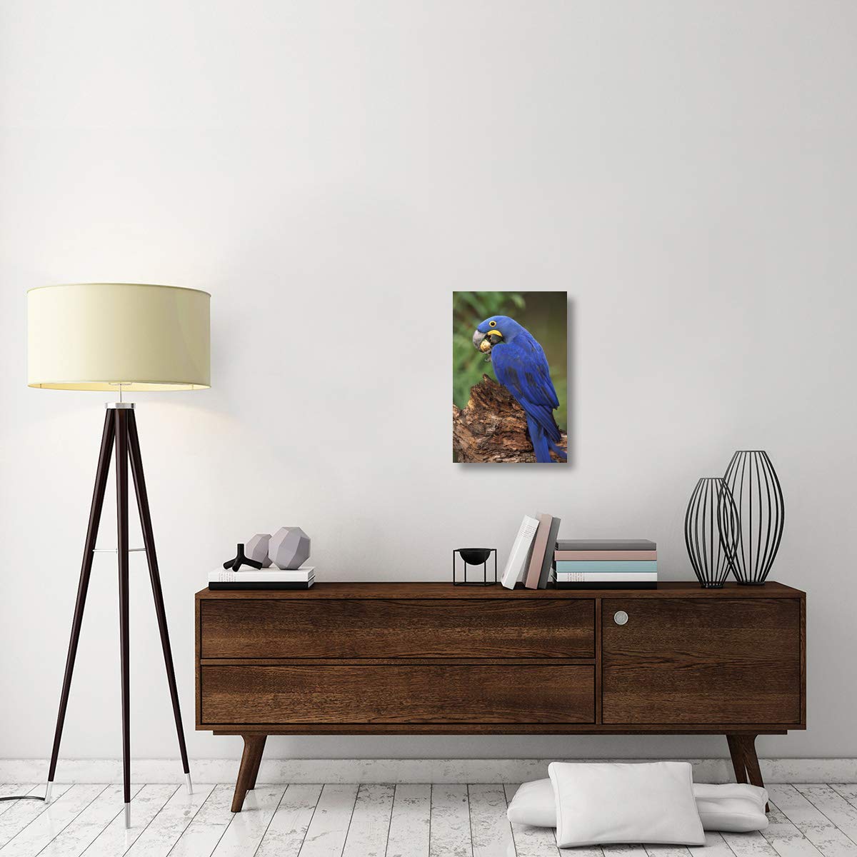 Hyacinth Macaw Eating Piassava Palm Nuts, Cerrado, Brazil-Canvas Art-16''X24''